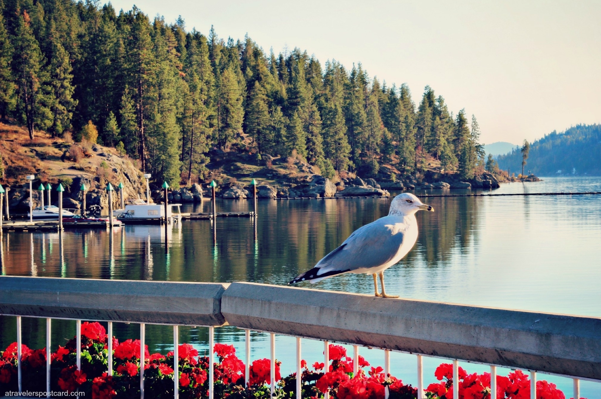 Lake Coeur d'Alene, US Vacation Rentals house rentals & more Vrbo
