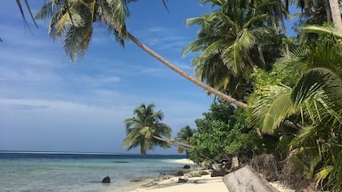 one fine day at Felidhoo