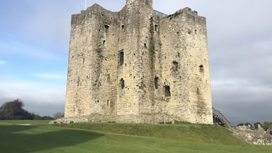 My last stop in Ireland before heading to the airport... Trim Castle