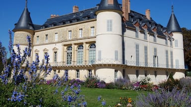 Castle of Rambouillet under the sun (France)

#castle #france #europe

September 2018 - Sony RX100