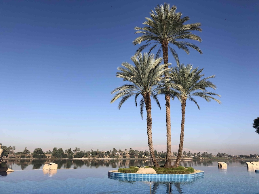 Infinity pool in the hotel with a nice serene view of the Nile