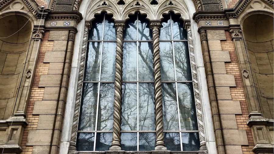Gorgeous windows.