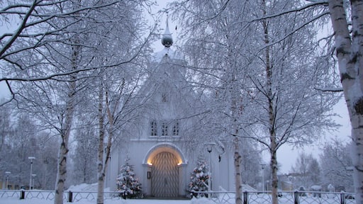 Foto av Svetlana Lebedeva