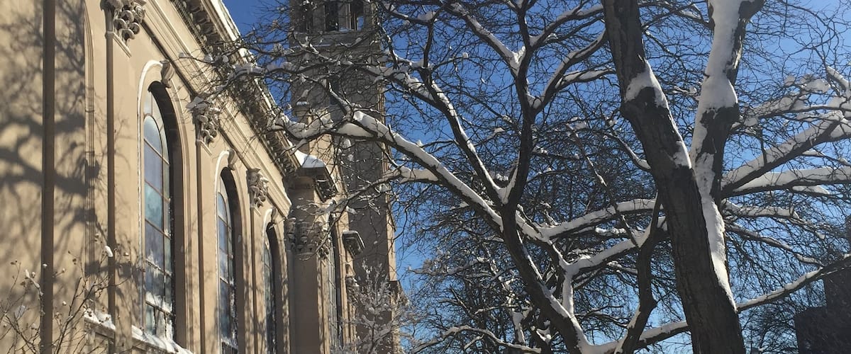 Winter in my Chicago neighborhood came all at once this year 
#snow