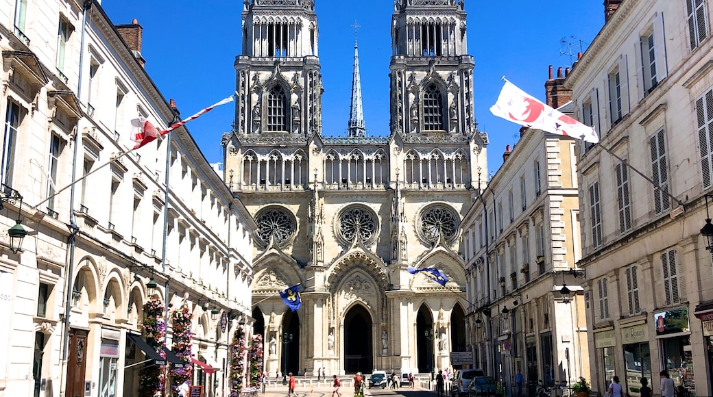 Cathédrale Sainte-Croix, Orléans, Loiret (département), France