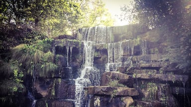 This historic park dates back to the early 1800s when then first settlers to the area arrived. It features the what is said is the worlds largest man made waterfall and a fountain dedicated to Princess Im-Mi-Ah-Key wife of Chickasaw Indian chief Tuscumbia  for whom the town is named. 

Oka Kapassa is a special Native American gathering that is held here and is dedicated to celebrating the culture and traditions of American Indians who once thrived in Alabama. The gathering is a coming home of sorts for the tribes that were forcibly removed from their homes in the Southeast. There's also a stature that reflects the Indians forced March to the west called "Sacred Tears, The Exit to the West." 
