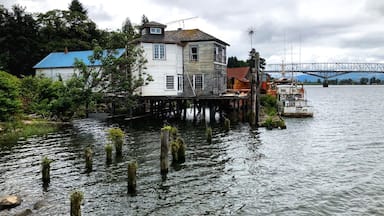 Cathlamet waterfront from Public Dock, looking upstream, along the Cathlamet Channel, Cathlamet, Washington. The old Warren Cannery building can be seen (red roof). In the background is the bridge connecting to Puget Island. (June 2019)

#Trovember