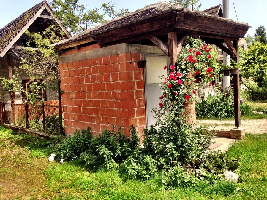 Čigoč, Croatia.. an extremely small stork village in Croatia. When most people think of Croatia, they think of beaches. But really there is so much more to that beautiful country.