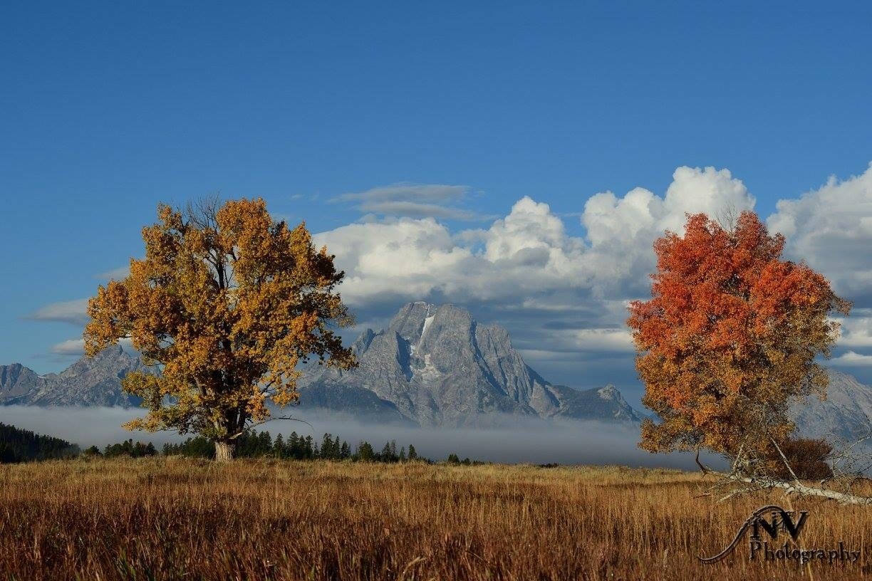 Mt. Moran in the fall
Grand Teton Park, WY