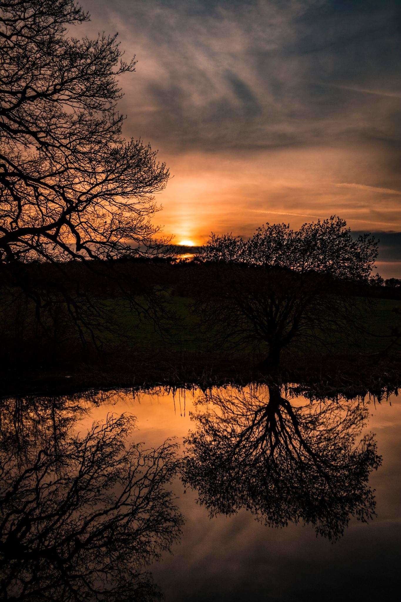 Foto av Kat D Hartley