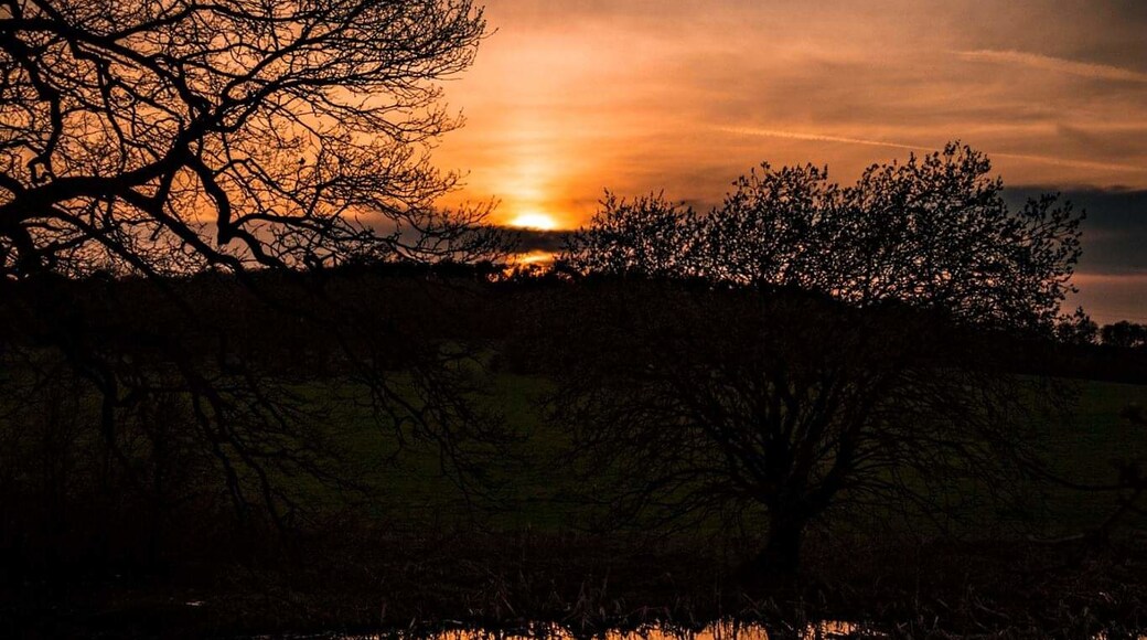 Foto tomada por Kat D Hartley