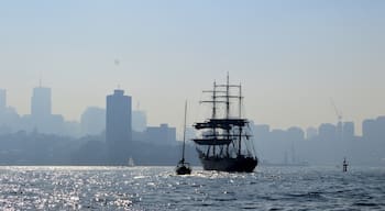 The City of Sydney was a haze of blue today 22/5/16.  
Just like ghost city.  The buildings were covered with a haze of smoke giving it a blue outline.  
The old replica Endeavour out on the water giving it a pirate feel.
#Blue