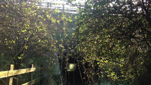 Foto tomada por Julie Clayton