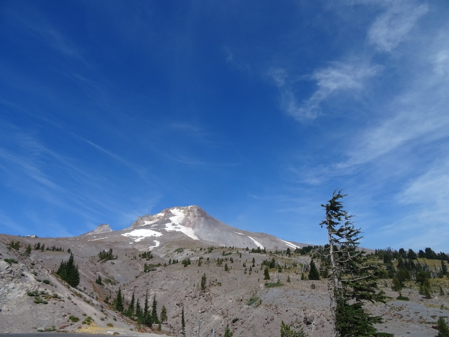 timberline lodge resort group