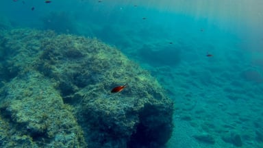 Be sure to take a snorkel to the Baths of Aphrodite in the late afternoon when the tide comes in bring the sea life out. 