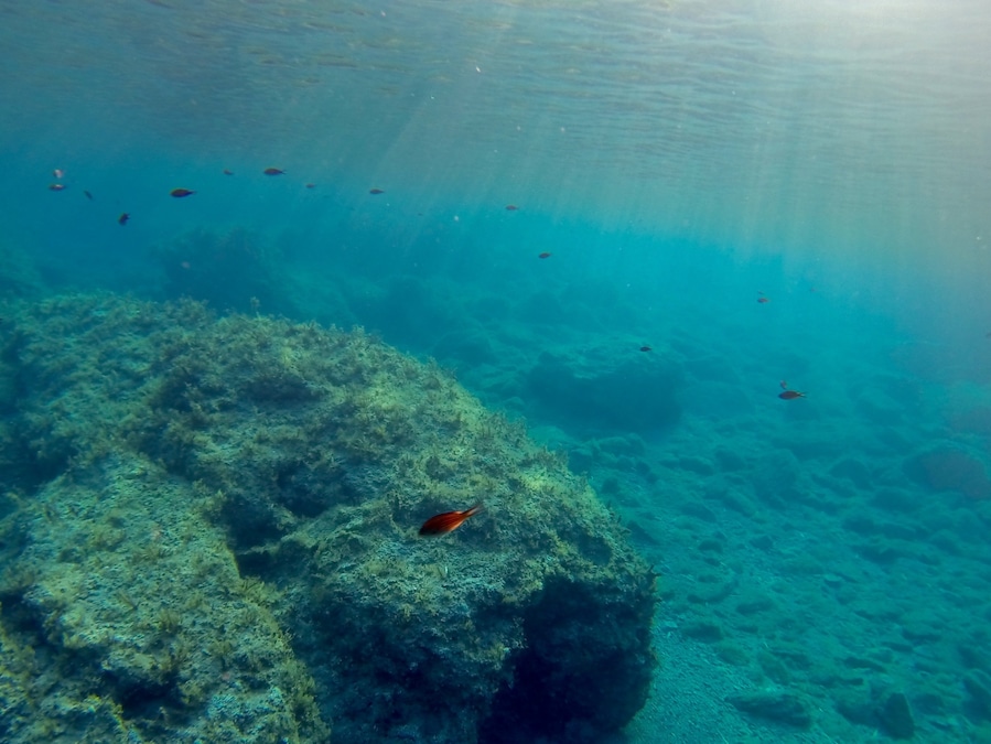 Be sure to take a snorkel to the Baths of Aphrodite in the late afternoon when the tide comes in bring the sea life out.