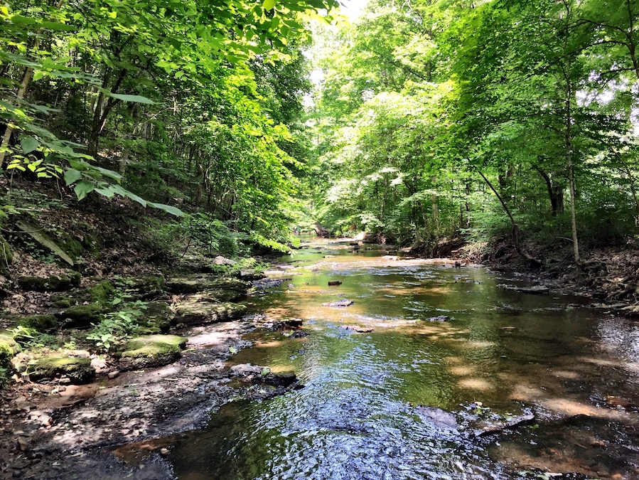 Creek hikes are the best hikes...
