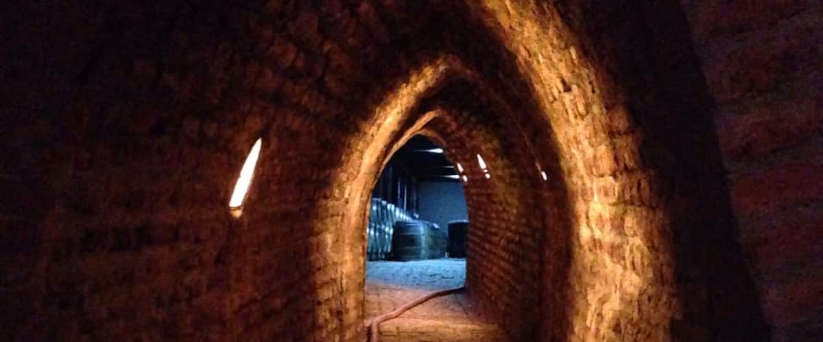 In the tunnels leading to the wine kegs inside the Undurraga winery in Chile