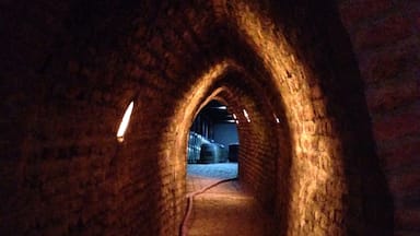 In the tunnels leading to the wine kegs inside the Undurraga winery in Chile
