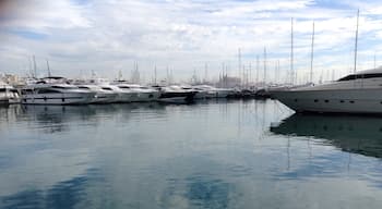 Palma is a most beautiful city and one I am told that most Spanish people would like to live in. I am not a city person but I cannot help but be moved here.