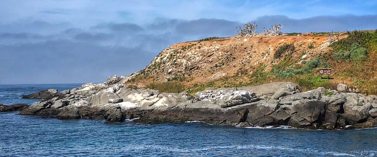 Make time to stop and take a look at the penguin colony here. Be sure to take binoculars. Fun to see them in their natural habitat!