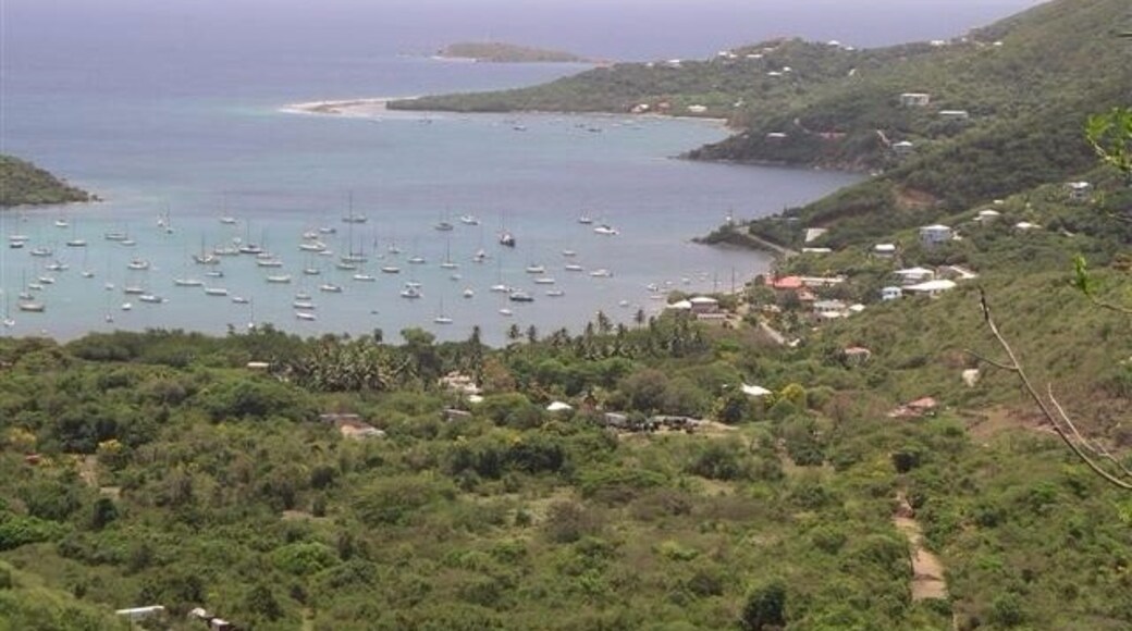 Foto por Ryan Miller