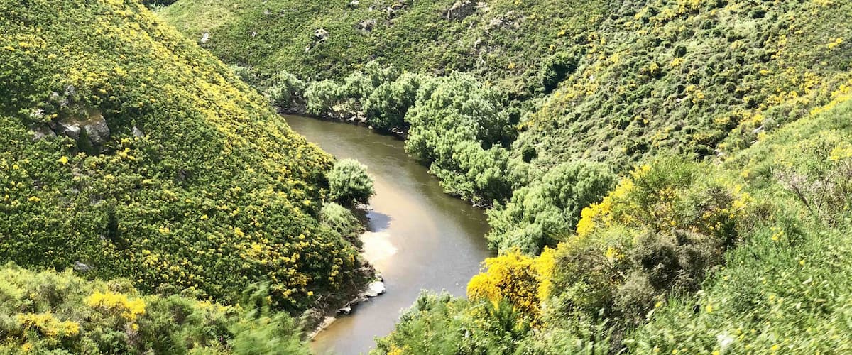 Beautiful landscape of New Zealand by train from Dunedin to Pukerangi