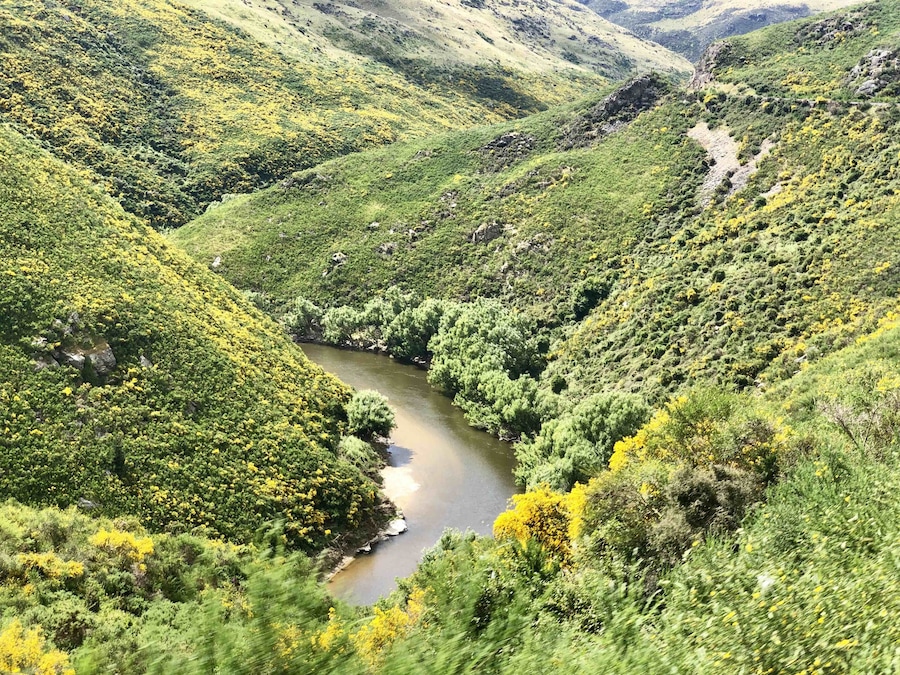 Beautiful landscape of New Zealand by train from Dunedin to Pukerangi
