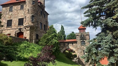 Built by the fifth president of the Singer Sewing Machine company as a hunting lodge in the early 1900's. it has changed owners several times and is currently owned by a group of Europeans who preserve castles. It has a large suite on the third floor that is available to stay in overnight for a fee. 