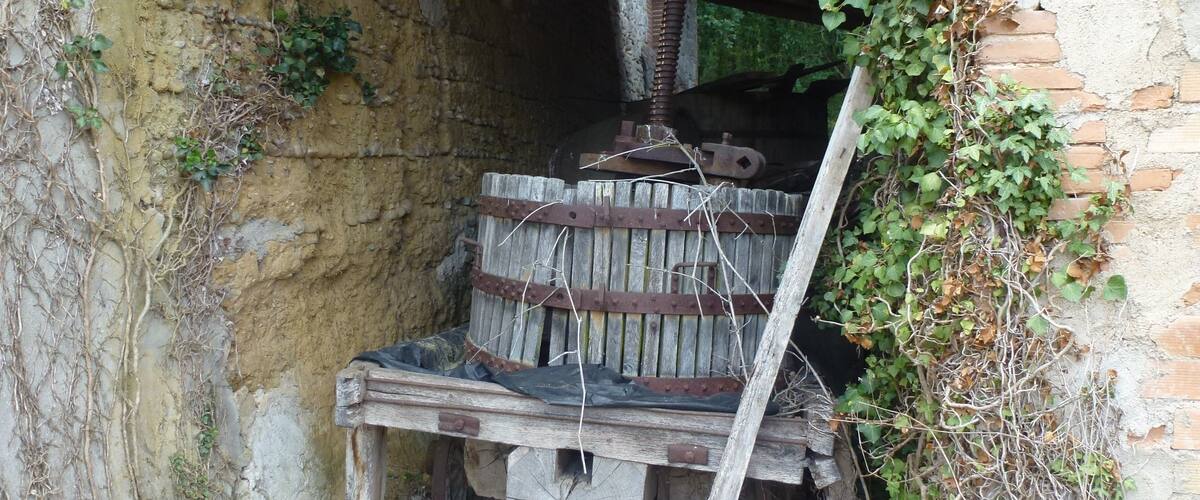 A dilapidated old wine press