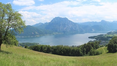 View of the Traunstein mountain