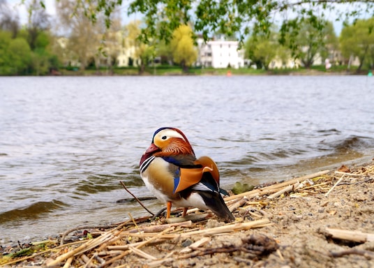 Babelsberg, Germany