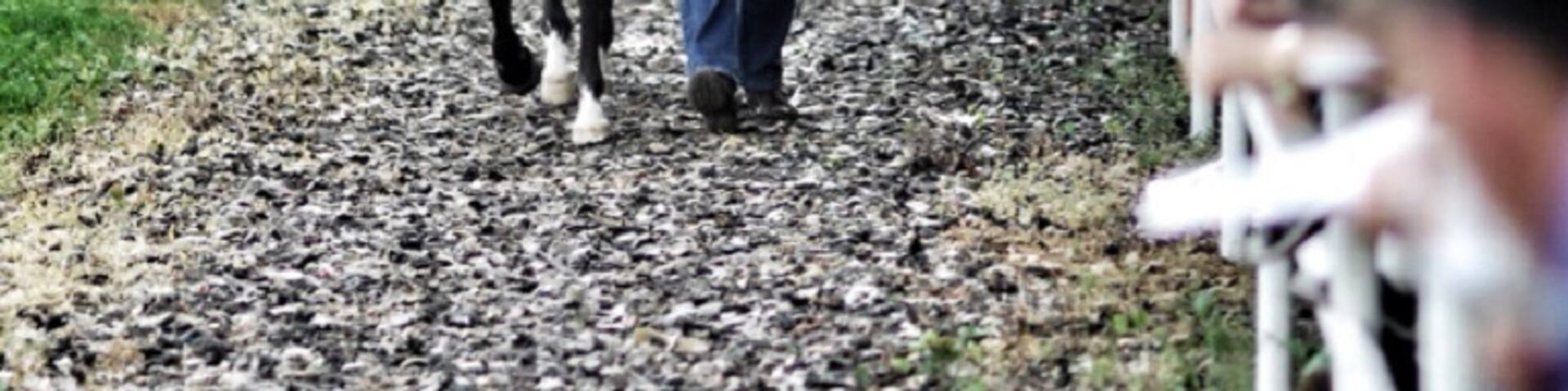 The former race course of the Duchy of Saxe-Coburg and Gotha is located right at the heart of Thuringia. With its fantastic view of the Thuringian Forest and the royal town of Gotha with Friedenstein Castle, the natural race course is a popular recreation area.
The magnificent Victorian-style grandstand has seen many great horse races and lends the course great charm. Boxberg is one of the longest flat race courses in Germany. #KidsFun