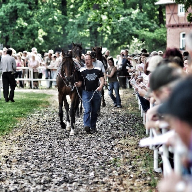 The former race course of the Duchy of Saxe-Coburg and Gotha is located right at the heart of Thuringia. With its fantastic view of the Thuringian Forest and the royal town of Gotha with Friedenstein Castle, the natural race course is a popular recreation area.
The magnificent Victorian-style grandstand has seen many great horse races and lends the course great charm. Boxberg is one of the longest flat race courses in Germany. #KidsFun