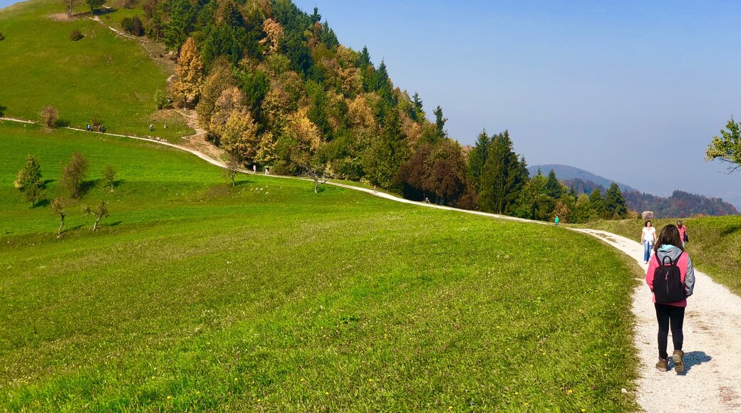 Medvode, Eslovênia