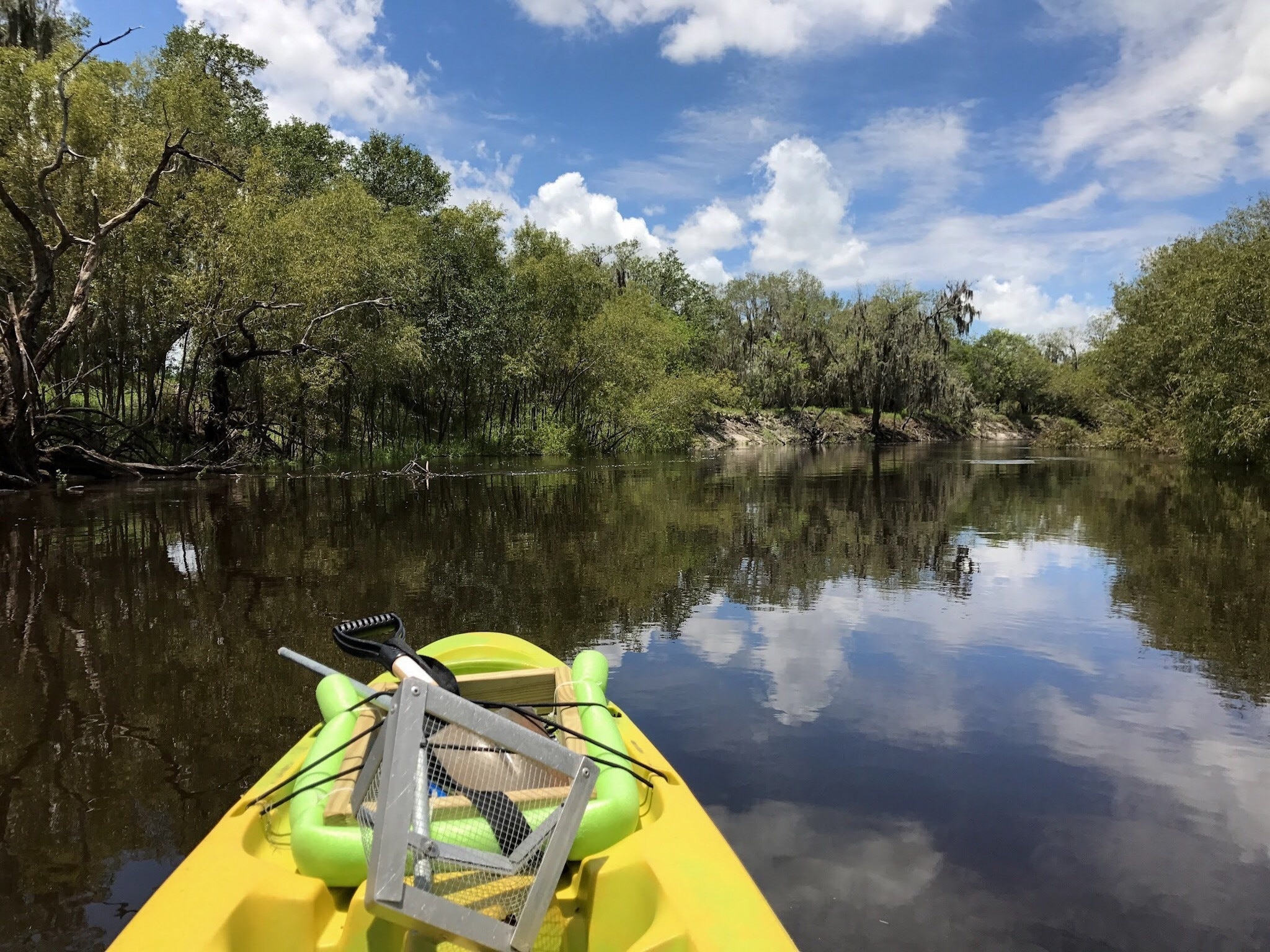 It might not be fast-paced, but floating down the Peace River in Florida to dive and hunt for fossils and Megalodon teeth in gator-infested waters can definitely be a thrill ride. #adventure #peace #river #fossils #megalodon #shark #nature #iceage
