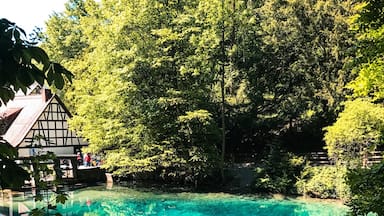 Water clear as crystal and blue like the sky #water #blautopf #ulm #beautiful #nice #lake #sea #blue #sky #germany #deutschland