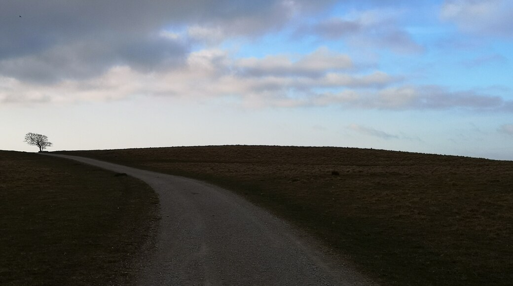 Foto tomada por Bernard L'Estrange