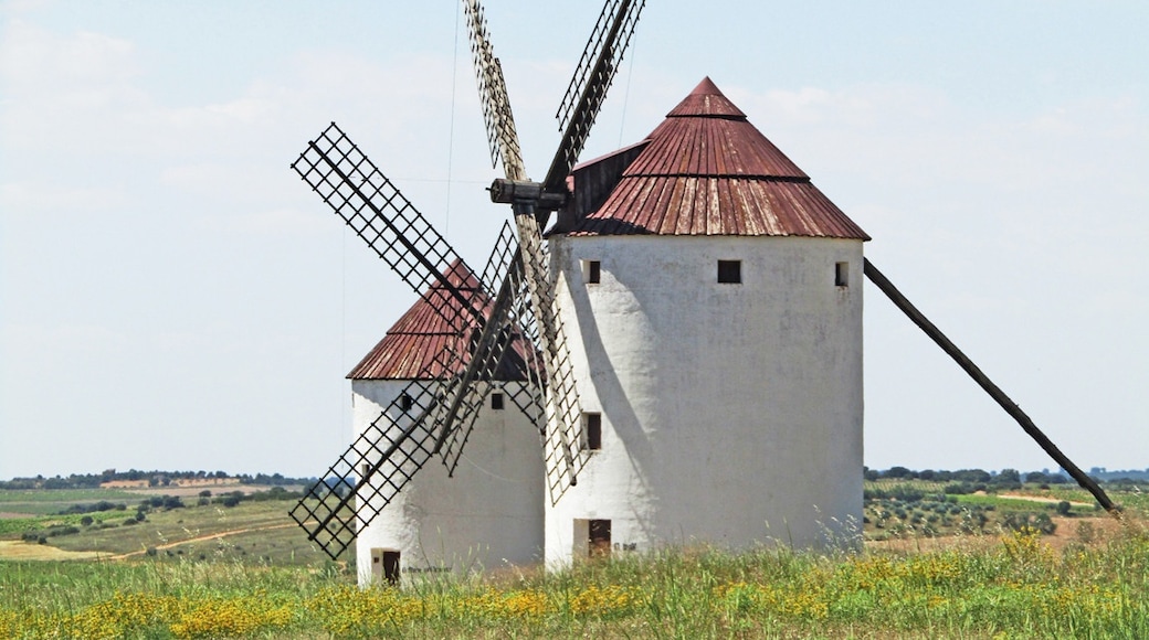 Mota del Cuervo, Castilla - La Mancha, Spain