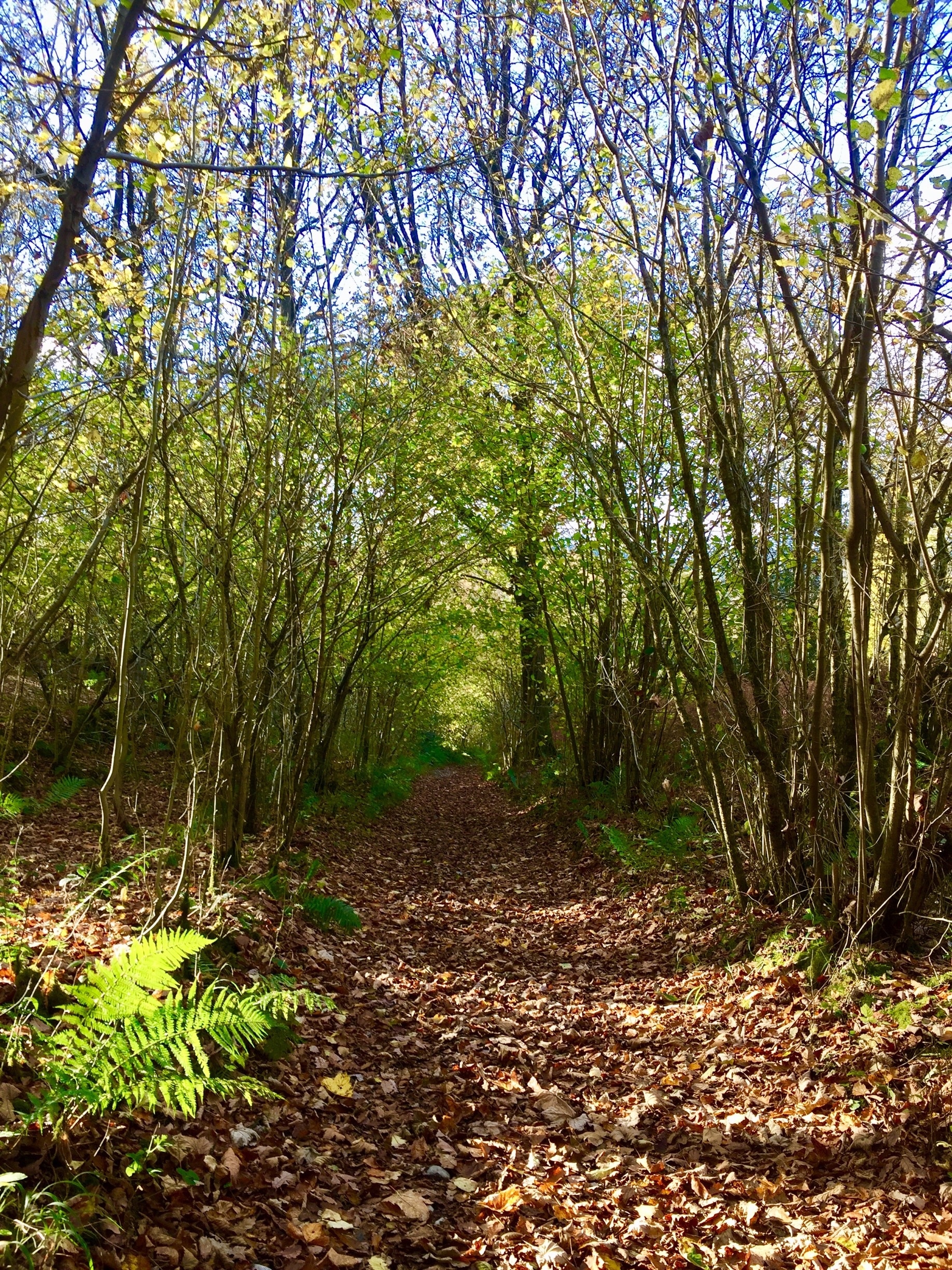 Valokuva: Kathy Appleby