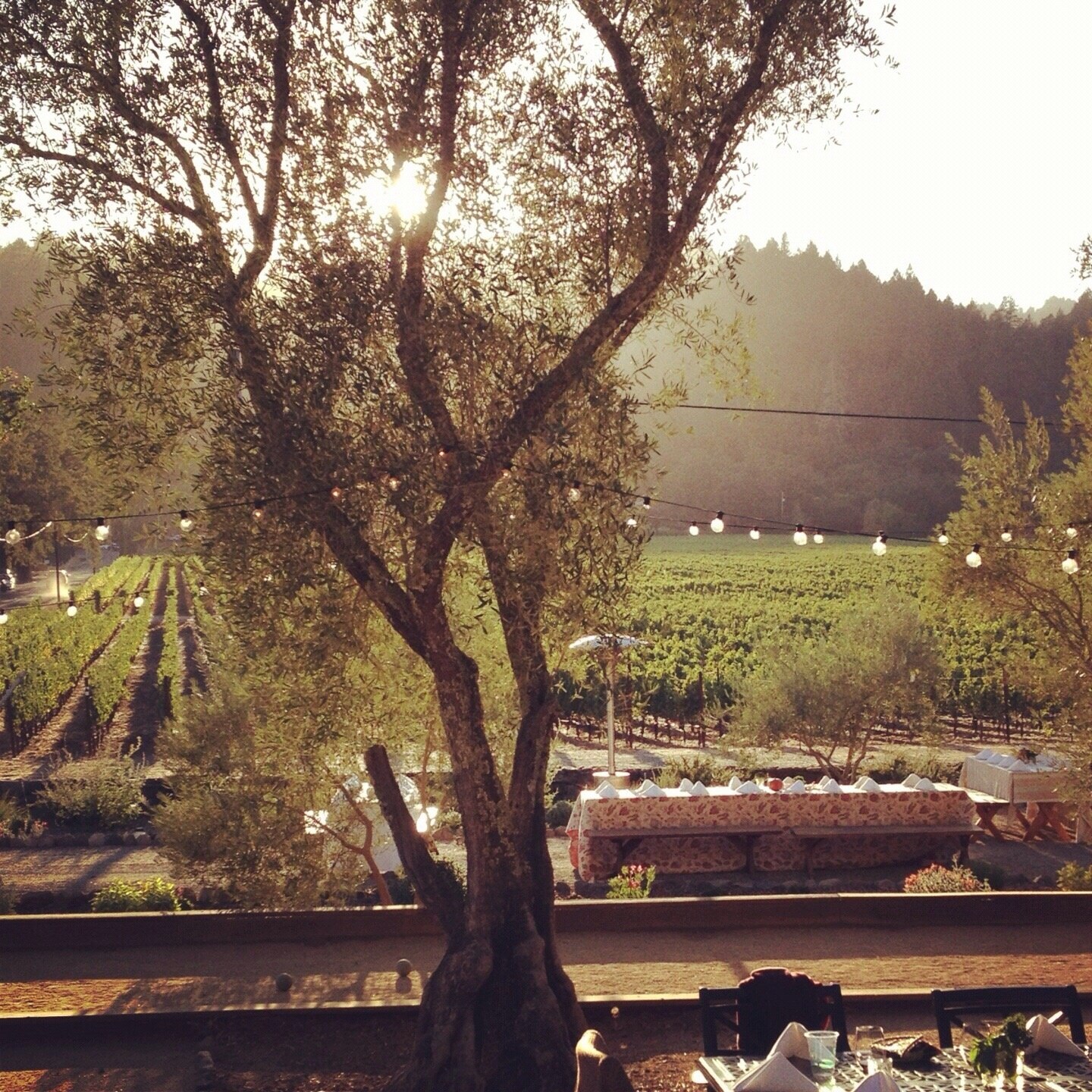 St. Helena, CA Vacation Rentals house rentals & more Vrbo