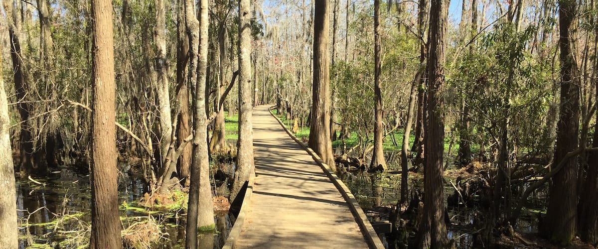 Water Trails and Boardwalks: Joyce Wildlife Management Area Swamp Walk
 
Visit our blog to learn more about this adventure!! 
http://www.frugalfamilytravelers.blogspot.com/2015/03/water-trails-and-boardwalks-joyce.html?m=1
Follow us on Facebook: https://www.facebook.com/frugalfamilytravelers?ref=hl
#StunningStructures
