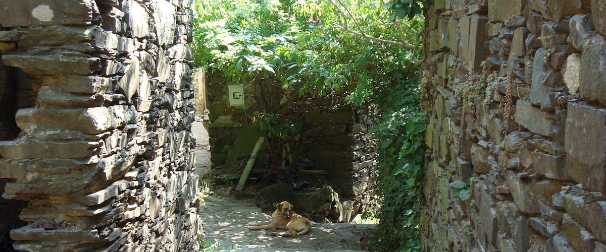 Shale villages
#Green