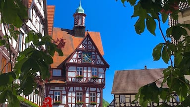 City hall of Bad Urach at the medieval marketplace
