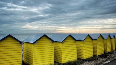 Wonderful coloured Beach Huts on the coast at Littlehampton