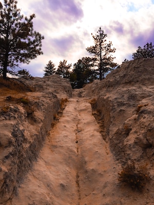 Westward Ho. Wagon wheel ruts in Guernsey Wyoming. Unbelievable when you look at the terrain.