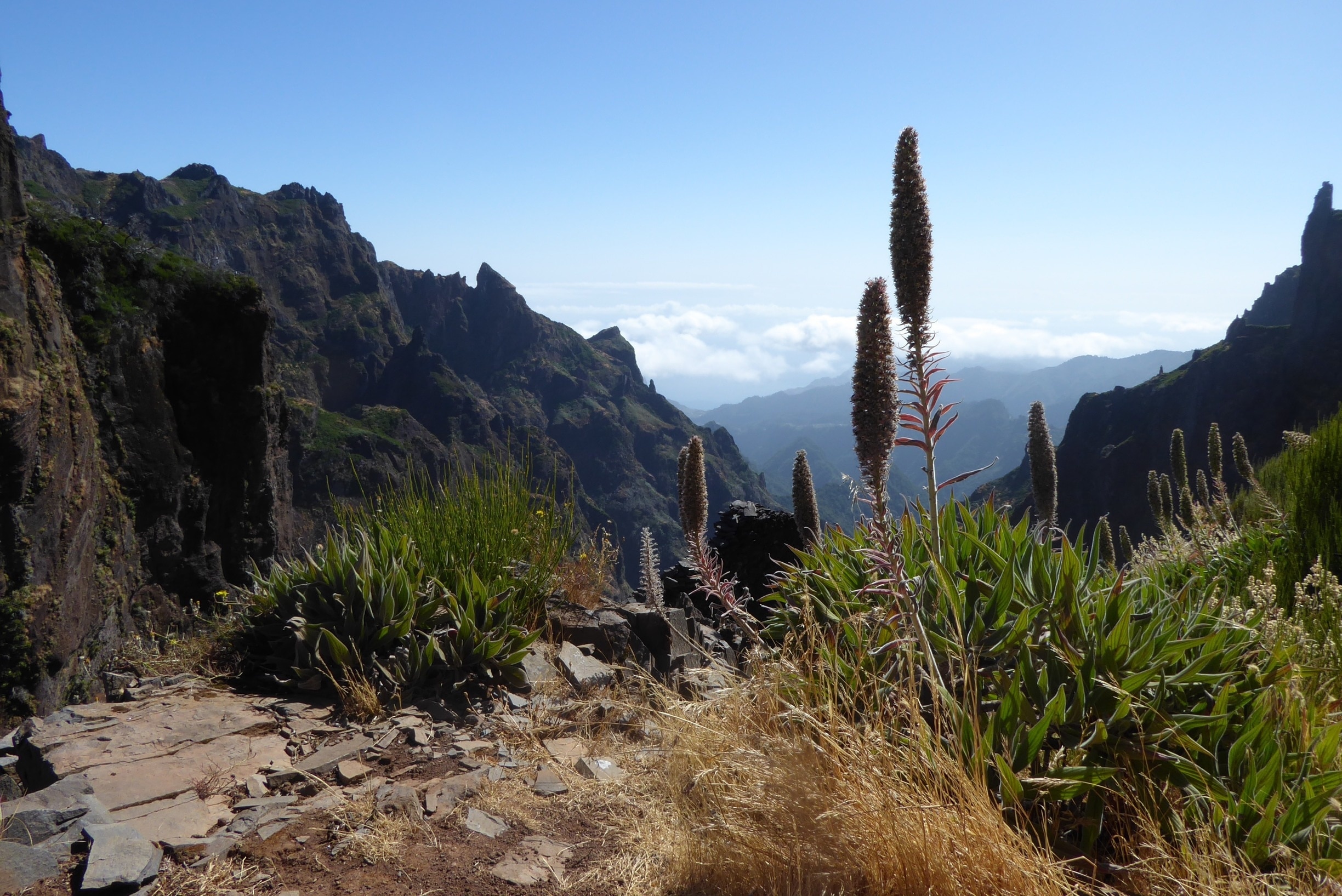 This was taken on my way to the highest peak in Madeira, a beautiful little Portuguese isalnd near the African coast. I met the most friendliest people here on this isalnd. Madeira is so small that you do not need 1 month to go and see everything there is and elderly people speak very good English too !
#madeira #outdoor #nature #hiking 