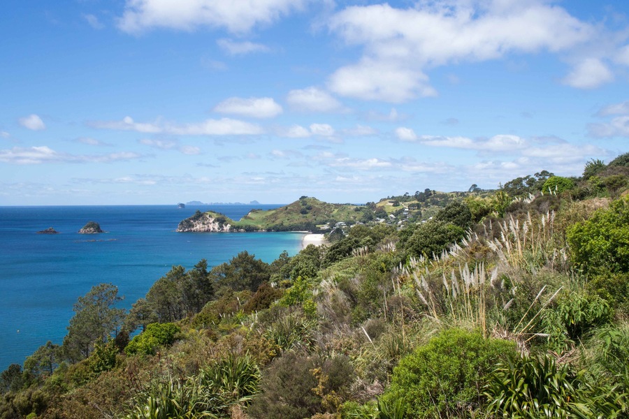 Coromandel Peninsula was one the highlights of our sightseeing around New Zealand. The nature in New Zealand is amazing all around, but the Coromandel Peninsula might have the most beautiful scenery with clear sea coves and lush temperate rainforests.