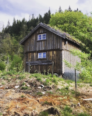 This 1816 cabin feels like stepping back in time... except it has electricity, a little kitchen, a shower, and a bathroom! The ants weren’t a nice surprise (the owners have had to set out a few ant killer things) but otherwise a cool place to escape/rest for the night! #cabin #norway #roadtrip