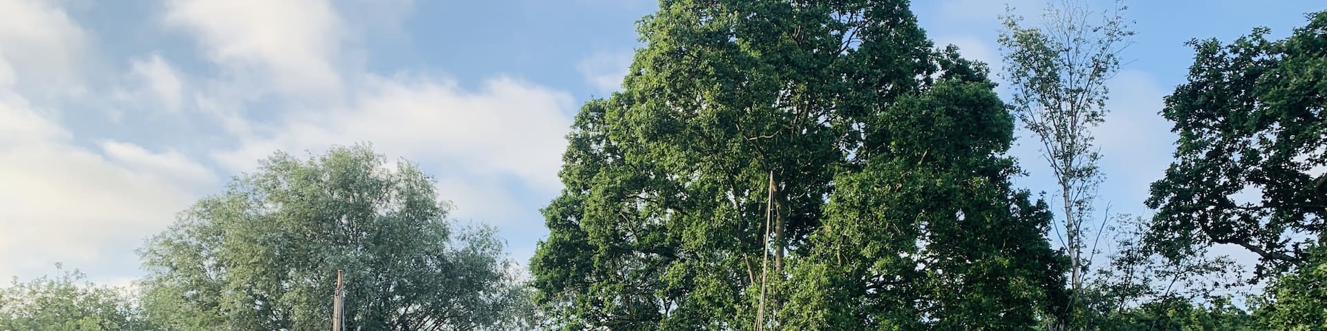 House hunting in Norfolk and came across this place.
(iPhone image)